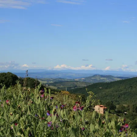 Hotel Dei Conti Castelnuovo di Val di Cecina
