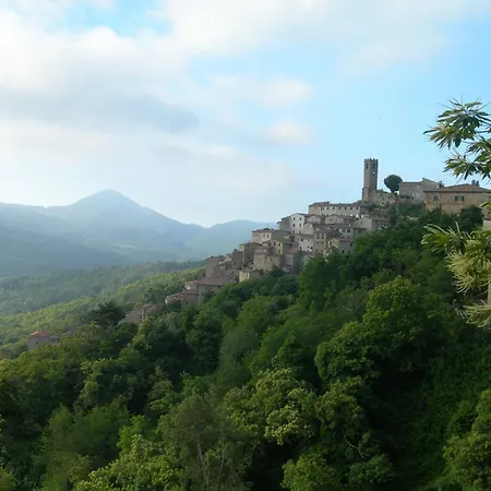 Dei Conti